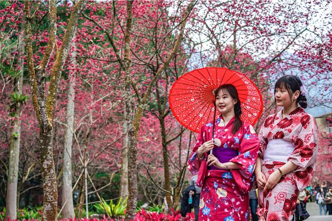 九族文化村和風浴衣日，2月17日至18日和風主題變裝，優惠價2人1000元。（九族文化村提供／吳娮翎台北傳真）