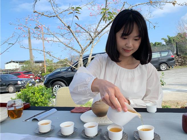 鹿谷乡小半天石马公园4日举行樱花步道等环境改善工程竣工典礼，现场安排樱花林中茶席享用鹿谷好茶，相当浪漫。(曾雪蒨摄)