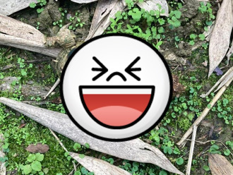 路邊驚見「王蟲」1.7萬人朝聖！內行揭真實身分