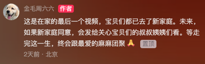 周海媚的爱宠都找到新主人。（图／抖音@金毛周六六）