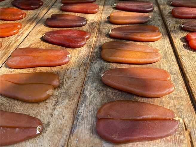 近日中部地区天气晴朗，不少民眾将乌鱼子曝晒在阳光下，彰化市日前发生民眾在屋前曝晒乌鱼子的失窃案件。（孙英哲摄）