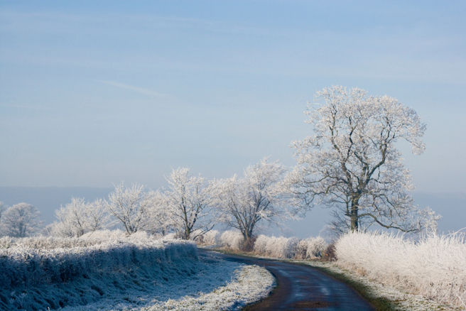 小寒節氣周六報到，命理師提醒鼠、牛、蛇、雞4生肖要注意健康，特別小心飲食。（示意圖／達志影像／shutterstock）