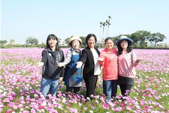 春遊彰化來拈花惹草！「2024南新農村花海藝術節」美不勝收