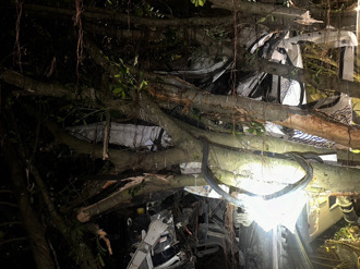 新北贡寮槽车衝进公园撞路树 车头变形驾驶双脚受困