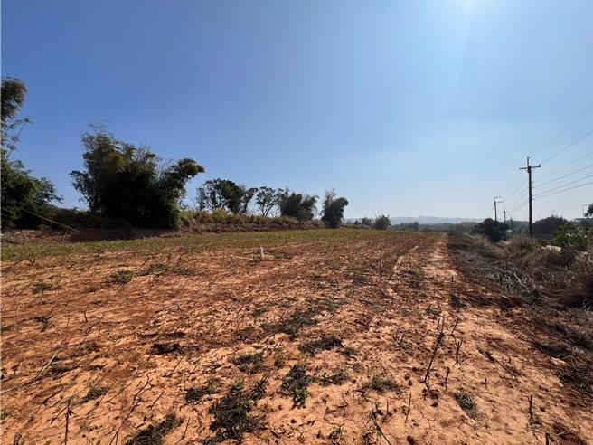 台中市沙鹿區中清段某農地。（民眾提供／潘虹恩台中傳真）