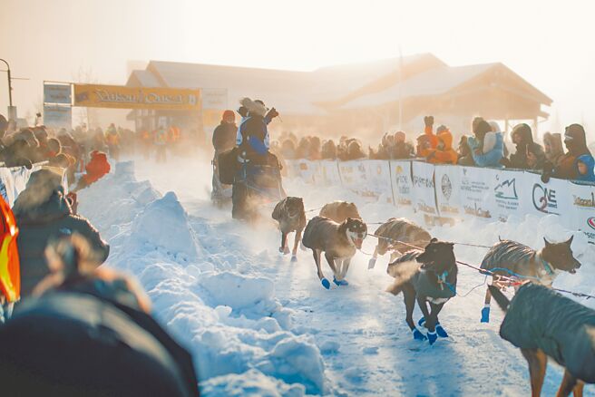 到加拿大除了看極光也能體驗當地旅遊活動，像是狗拉雪橇等活動。（leyo樂遊人提供）