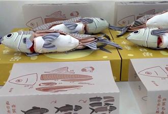 雲林北港農工跨足漁業 海洋大學助一臂之力