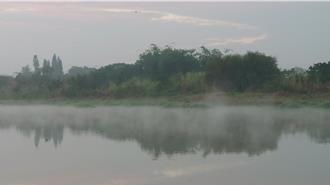 早起限定美景 貓羅溪氤氳繚繞如仙境