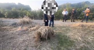 宮祠功德箱藏金牌 竊賊偷走無處藏埋草堆「欲蓋彌彰」