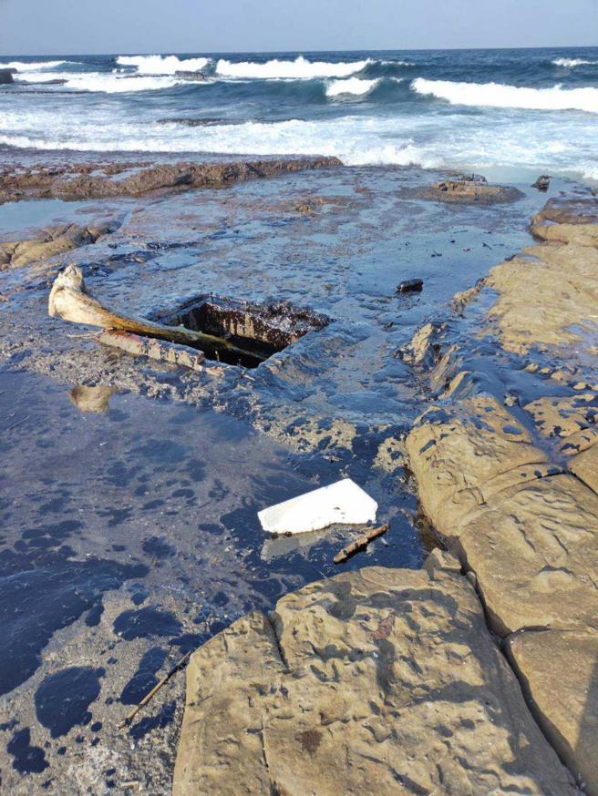 重油污染整个东北角，造成当地养殖业者人心惶惶，深怕产量受影响。（图／读者提供）