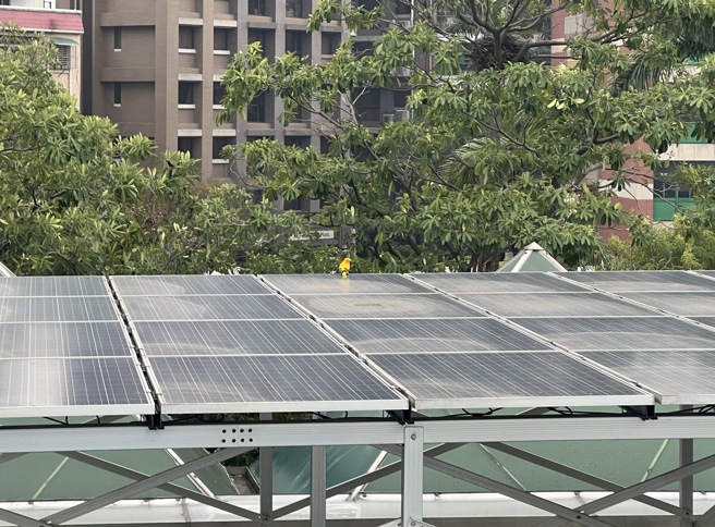 鹦鹉在派出所对面活动中心顶楼。（图 / 刘咏韵翻摄）