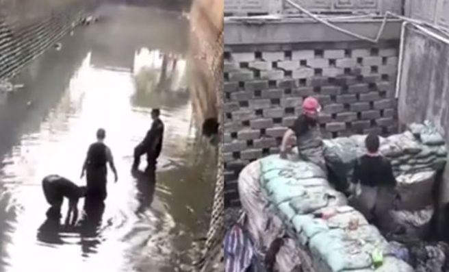 翡翠掉入河沟，打捞多天都没有结果。（图／翻摄微博）  