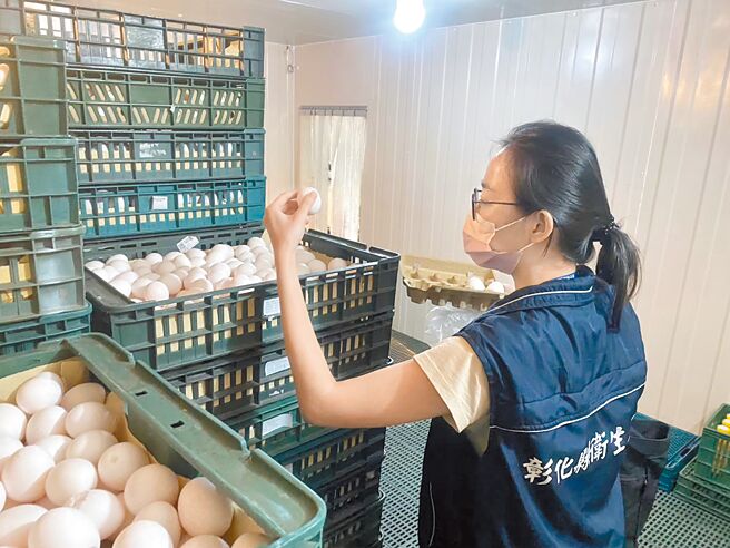 5000多万颗专案进口鸡蛋成本估计约2亿元，「耗损与到期」销毁费用，又要花4119万元。图为卫生局人员稽查待销毁鸡蛋。（彰化县卫生局提供）