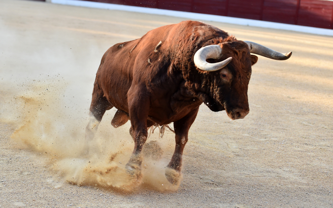 福州一處錄影區，日前突然闖入一隻狂牛。（示意圖／shutterstock）