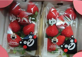 日本草莓超毒！2个月查出10批农药超标 禁止输台 1个月