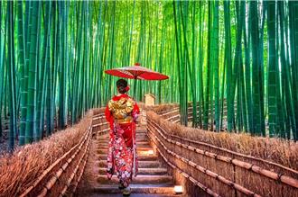 出國旅遊怕出狀況 兆豐產險：雙險保平安