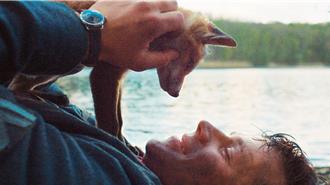 最萌戰友竟是「牠」 《戰火下的小狐狸》展人、狐友誼