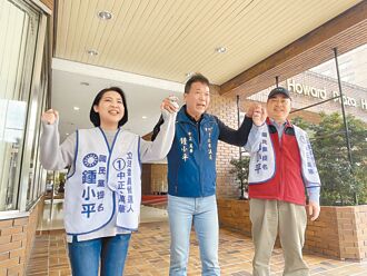 蓝白立委选战合体 绿轰自私变色龙