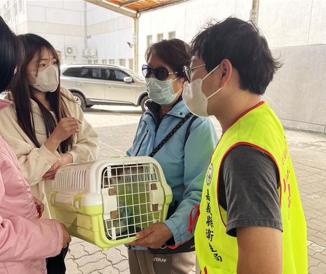 嘉义县卫生局媒合家畜疾病防治所，让小美顺利领养到一只可爱的流浪猫。（嘉义县政府提供∕吕妍庭嘉义传真）