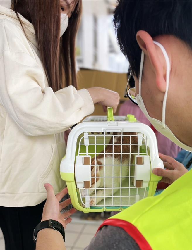 嘉义县卫生局媒合家畜疾病防治所，让小美顺利领养到一只可爱的流浪猫。（嘉义县政府提供∕吕妍庭嘉义传真）