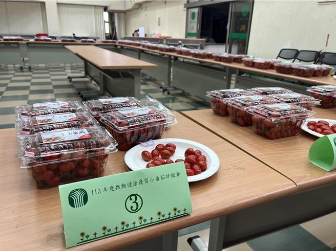 苗栗縣後龍鎮農9日舉辦小蕃茄評鑑比賽。（後龍鎮農提供／謝明俊苗栗傳真）