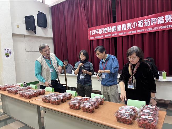 苗栗縣後龍鎮農9日舉辦小蕃茄評鑑比賽。（後龍鎮農提供／謝明俊苗栗傳真）