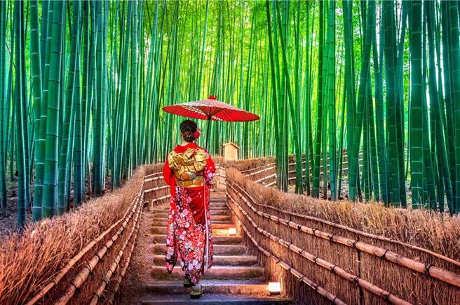 去日本旅游示意图(图／兆丰产险提供、吴静君传真)