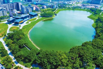 千塘之乡华丽变身