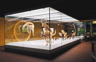 臺中科博館 探索科學驚奇樂趣