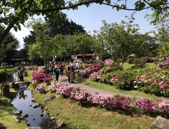 春遊踏青百花齊放 浪漫台北覓芳蹤