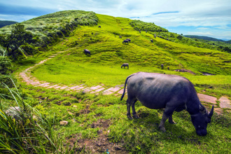 基北北桃山海遊 眺山遊海一探祕境
