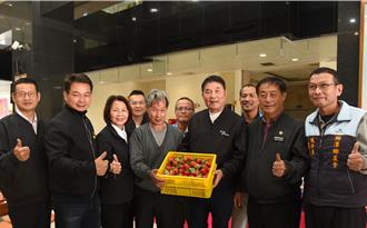 獅潭「橘莓戀」20日登場 鍾東錦邀民眾體驗採果及酸柑茶DIY