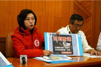 陸方介選最好用？ 宜蘭立委選戰藍綠互控