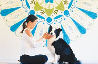 攜毛孩花蓮走春 早鳥享優惠