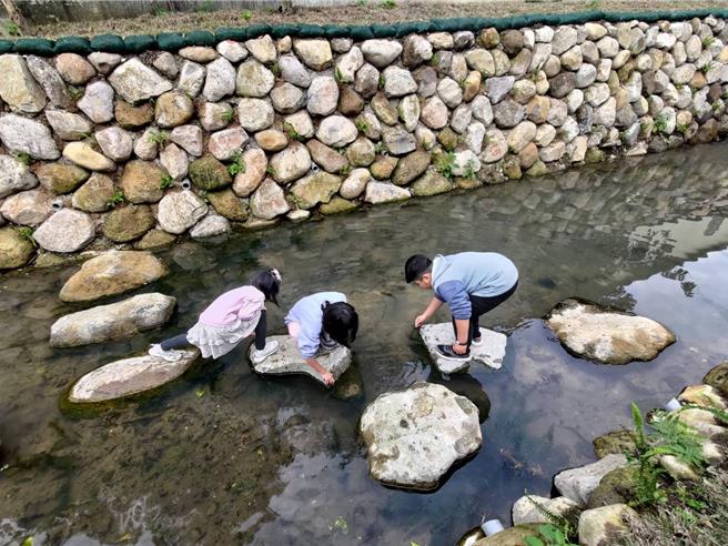 淡水忠寮社区鱼菜共生景观工程属环境教育场域，环境营造后吸引民眾带小朋友前往参观。（新北市农业局提供）