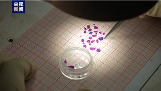 大陸科學家發布無液氦極低溫制冷基礎研究重要突破