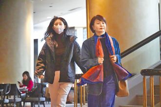 子瑜帶志效定延遊台灣