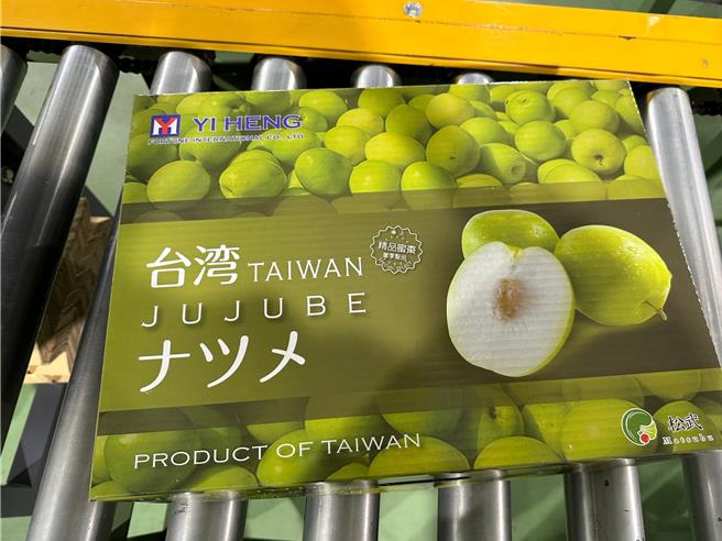 目前正值屏東蜜棗產季，當中首批外銷蜜棗1.36公噸已於10日在高樹鄉蜜棗冷鏈包裝集貨場裝箱集貨，預計25日出倉、28日在日本大田批發市場販售。（屏縣府提供／謝佳潾屏東傳真）