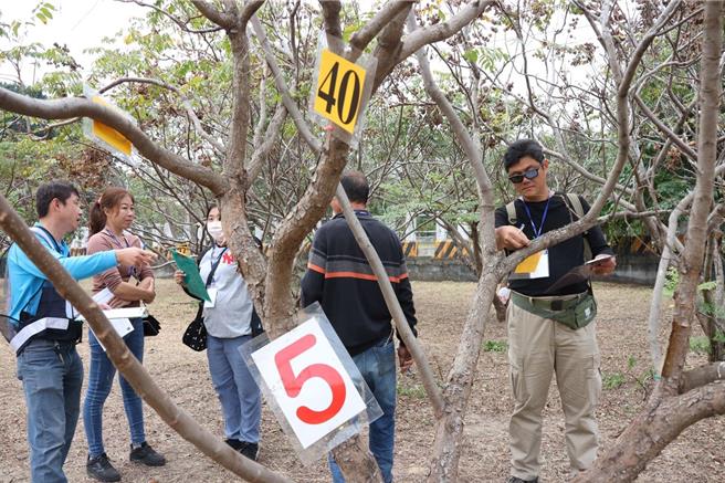 嘉义市政府办理景观树木修剪教育训练暨认证考试，参训人员上课情形。（嘉义市政府提供／廖素慧嘉市传真）