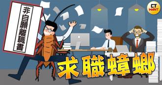 北市疑求職蟑螂出沒 工程師手法曝光！連續檢舉2雇主