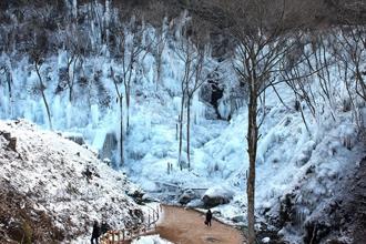 東京近郊新感官美景 蘆久保冰柱