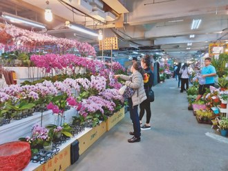 板橋花市春節延長營業