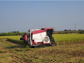 開放燒稻草滅蟲？  雲林縣消防局曝條件僅這2處可申請