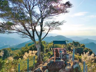 土城趴趴走 登步道逛商圈