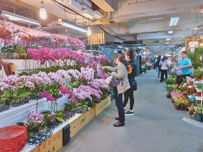 民眾挑选应景花卉盆景。（图／新北市农业局提供）