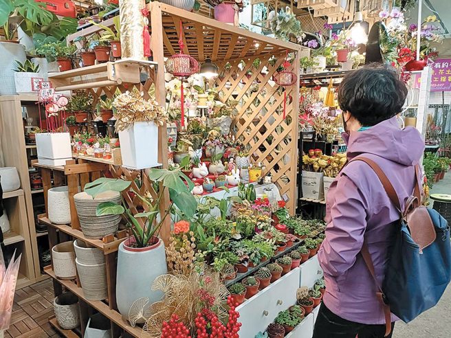 喜气小盆栽。（图／新北市农业局提供）