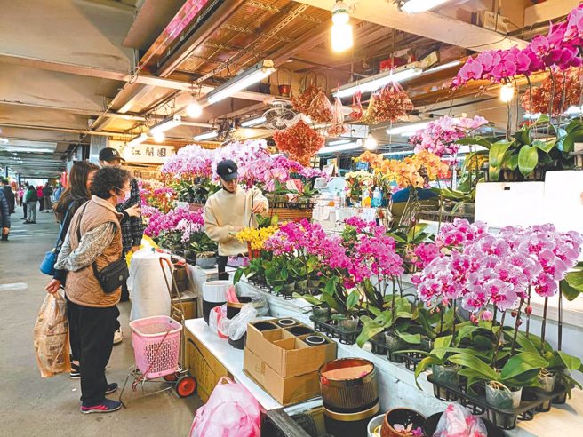 多品种兰花盆景可供民眾挑选。（图／新北市农业局提供）