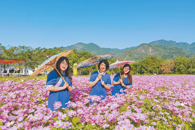 高雄市美濃區「美的像幅畫，濃的化不開」！美濃花海名聲遠播，農曆春節期間吸引各地遊客前來走春賞花。（圖／林雅惠）
