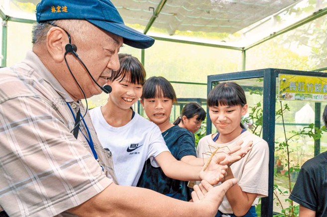 亚泥搜集国内外竹节虫品种饲养，以「竹节虫百科教室」的形式，提供竹节虫生态的教学与观赏。（图／亚洲水泥提供）
