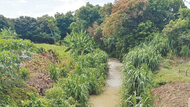 台南市政府去年順利爭取前瞻基礎建設計畫1020萬元預算，針對嶺營區富農橋下游段辦理渠道整建。（台南市政府水利局提供／張毓翎台南傳真）